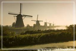 Kinderdijk (19) Windmühlen