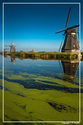 Kinderdijk (29) Windmills