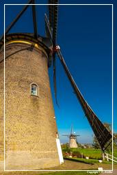 Kinderdijk (69) Windmills