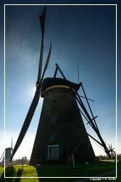 Kinderdijk (92) Moulins à vent