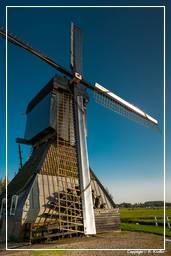 Kinderdijk (105) Molinos de viento
