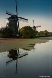 Kinderdijk (114) Moulins à vent