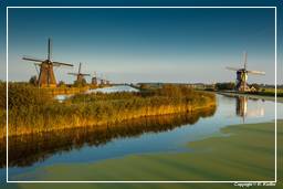 Kinderdijk (124) Windmills
