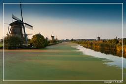 Kinderdijk (128) Moulins à vent