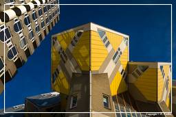 Rotterdam (96) Maisons cubiques