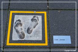Rotterdam (165) Walk of Fame Europe (Tom Jones)