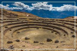 Moray (27) Terrasses Incas à Moray