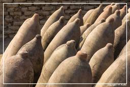 Pisco (4) Pisco Wine Amphorae