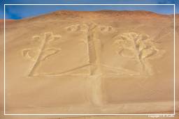 Réserve Nationale de Paracas (41) Géoglyphe El Candelabro