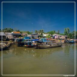 Río Mekong (Vietnam) (12)