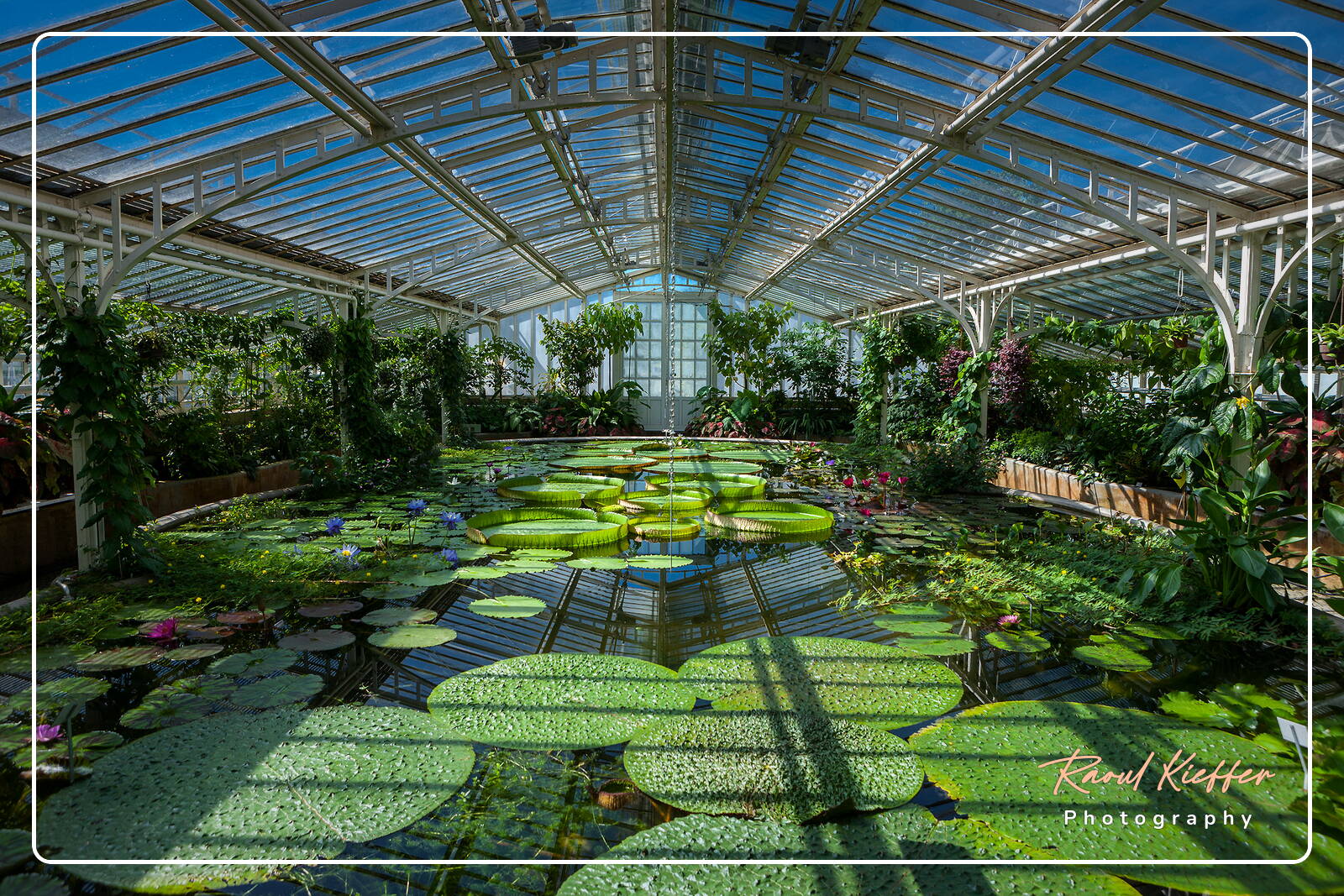 Photo Gallery Botanical Garden (Munich) Raoul Kieffer Photography