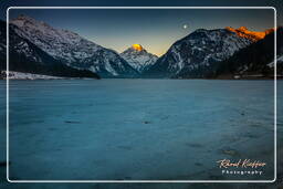 Plansee (Tirolo) (101)