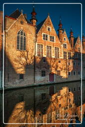 Groenerei, Bruges (5)