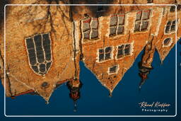Groenerei, Bruges (6)