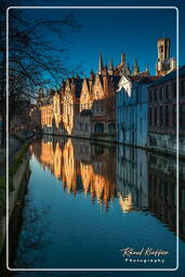 Groenerei, Bruges (10)