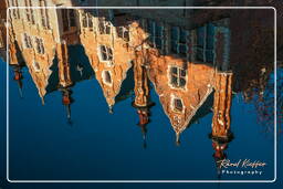 Groenerei, Bruges (11)