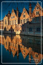 Groenerei, Bruges (13)