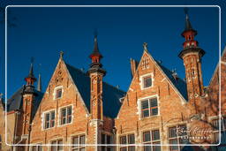 Groenerei, Bruges (15)