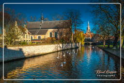 Bruges (39)