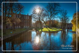 Bruges (47) Beguinage Ten Wijngaerde