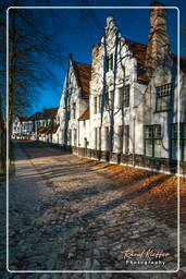 Bruges (48) Beguinage de Bruges