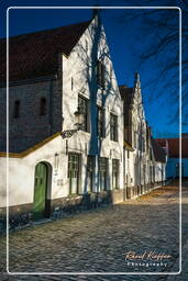 Beguinage Ten Wijngaerde, Bruges (49)