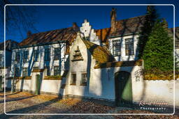 Bruges (50) Beguinage de Bruges