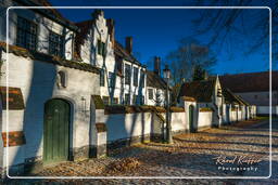 Bruges (51) Beguinage Ten Wijngaerde