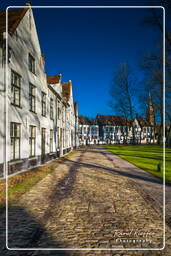 Bruges (53) Beguinage Ten Wijngaerde