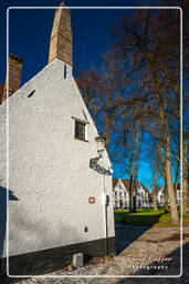 Beguinage Ten Wijngaerde, Bruges (58)