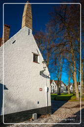 Bruges (58) Beguinage de Bruges