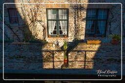 Beguinage Ten Wijngaerde, Bruges (59)