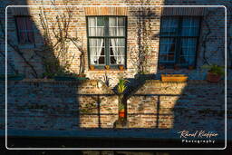 Bruges (59) Beguinage de Bruges