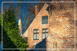 Beguinage Ten Wijngaerde, Bruges (60)