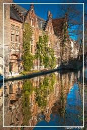 Bruges (80)