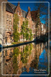 Bruges (80)