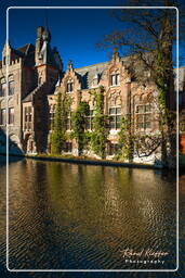 Bruges (81)