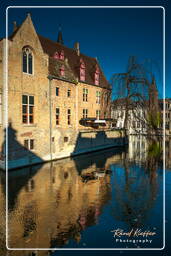 Bruges (83)