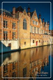 Groenerei, Bruges (94)