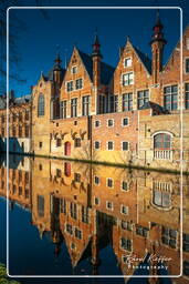 Groenerei, Bruges (96)