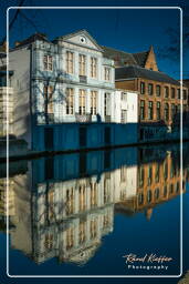 Groenerei, Bruges (98)