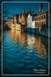 Groenerei, Bruges (99)