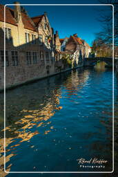 Groenerei, Bruges (100)