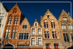 Bruges (110)