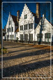 Beguinage Ten Wijngaerde, Bruges (136)