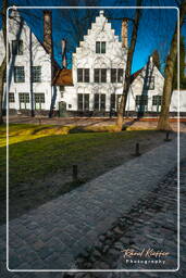 Beguinage Ten Wijngaerde, Bruges (137)