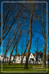 Beguinage Ten Wijngaerde, Bruges (139)
