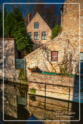 Beguinage Ten Wijngaerde, Bruges (140)