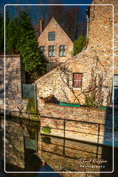 Bruges (140) Beguinage de Bruges