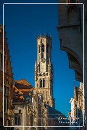 Bruges (150) Beffroi de Bruges